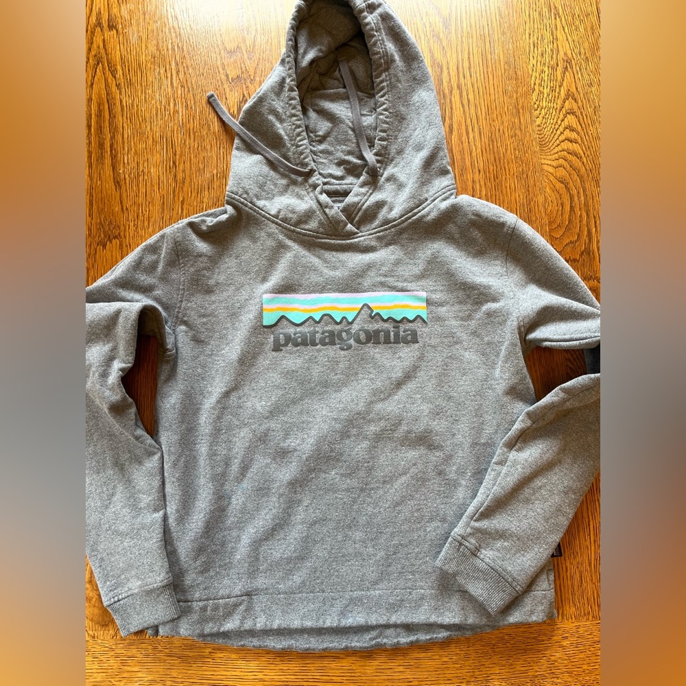 Women’s Patagonia pastel logo uprisal hoody